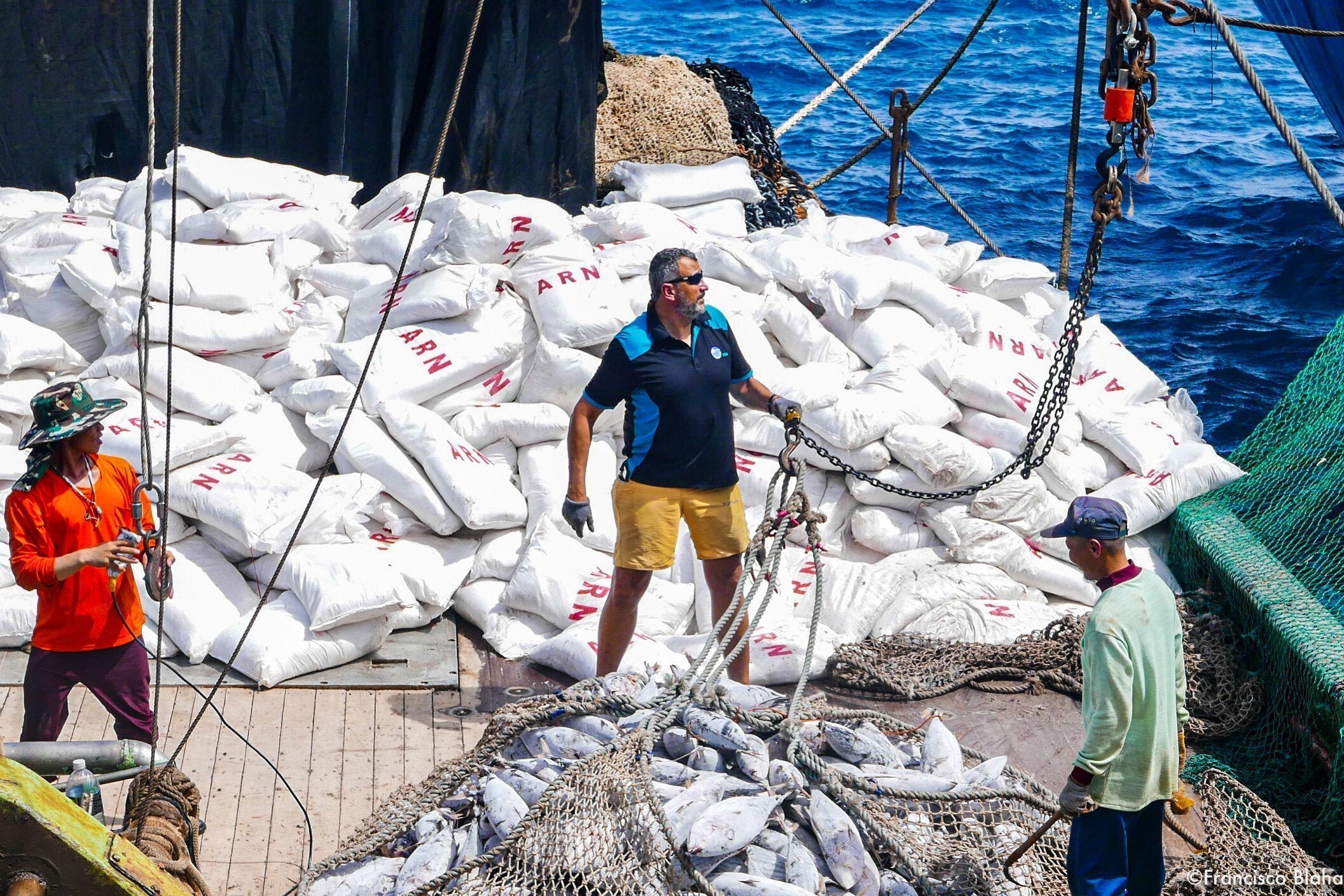 Workers unload a catch on a fishing vessel with load cells shown in the background