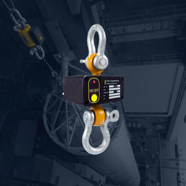 Load Monitoring System Guide (2025) – Safe Crane & Industrial Lifting ...