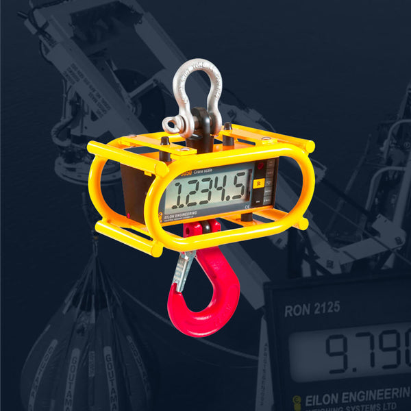 Load Measuring Lift System Load Monitoring System Guide (2025) – Safe Crane & Industrial Lifting ...