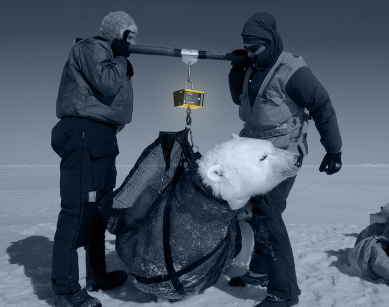Industrial Crane Scales: Aerospace-Grade Steel & 0.1% Precision Accuracy