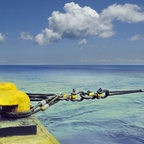 Ron 2000S - Wired Dynamometer - 0.5t to 300t