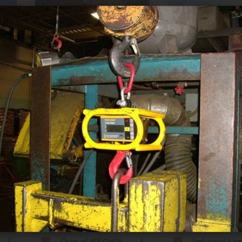 Ron 3025 - Crane Scale with 1"/25mm display - 0.5t to 12.5t