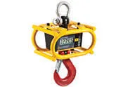 Ron 3025 - Crane Scale with Protective Cage