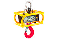 Ron 3050 - Crane Scale with Protective Cage